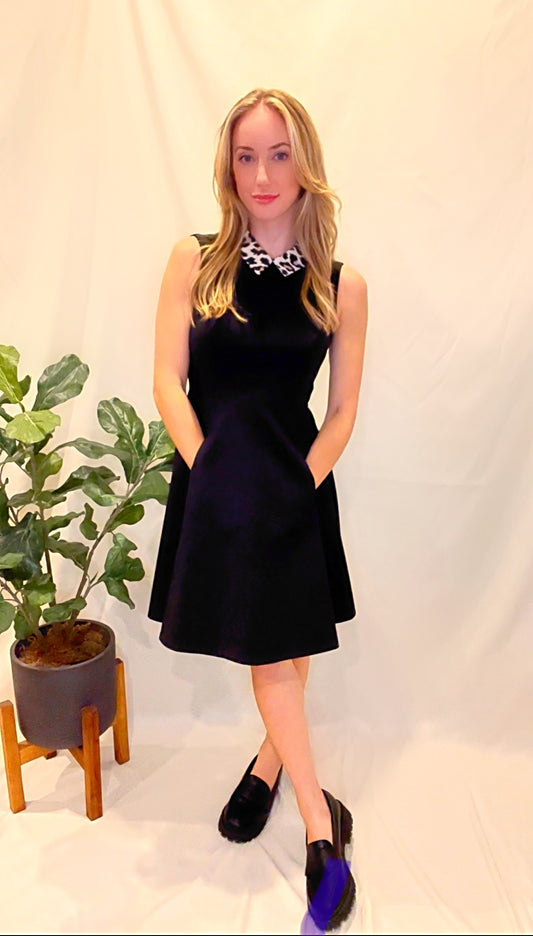 Kate Spade Skater Dress | $45