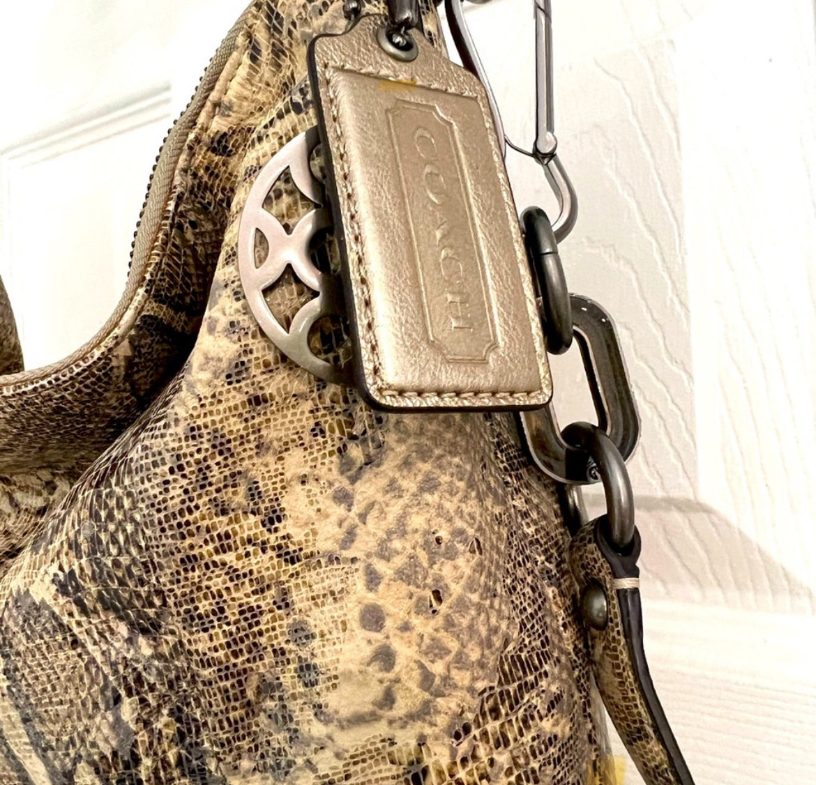 Coach Hobo Bag | $60