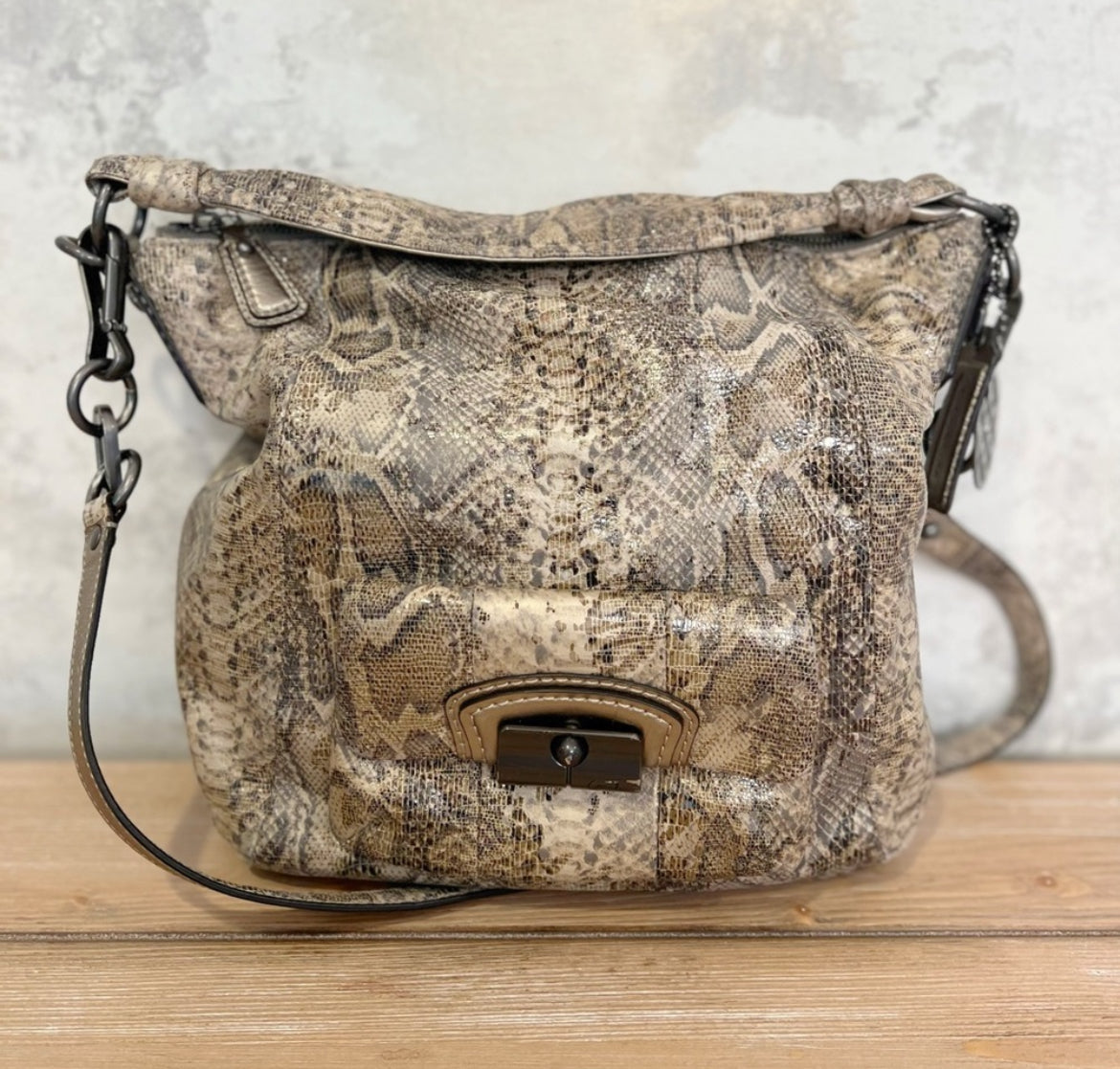 Coach Hobo Bag | $60